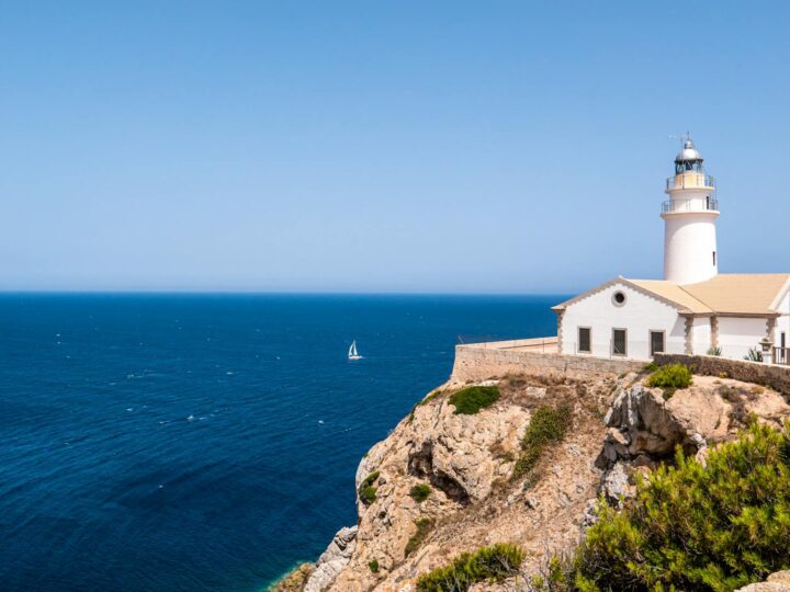 Fundaci Mir Mallorca